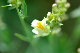 image0137