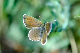 image0138