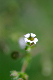 image0139