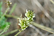 image0140