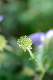 image0141
