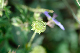 image0142