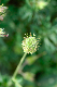 image0143