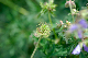 image0144