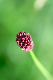 image0145