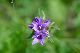 image0146