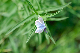 image0147