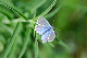image0148