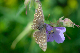 image0149
