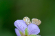 image0151