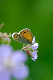 image0152