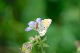 image0153