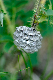 image0154