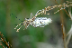 image0155