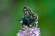 image0156