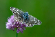 image0158