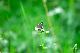 image0160