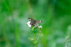 image0161