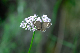 image0162