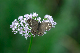 image0163