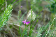 image0165