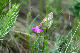 image0166