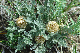 image0168