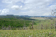 image0173