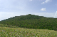 image0176