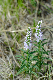 image0177