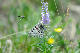 image0178