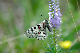 image0180