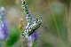 image0183