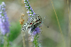 image0184