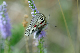 image0185