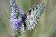 image0186