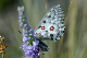 image0187