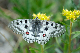 image0188