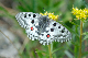 image0189