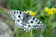 image0190