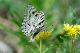 image0191