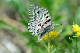 image0192