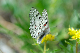 image0193