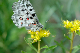 image0194