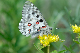 image0195