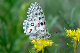 image0197