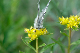 image0198