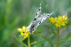 image0199