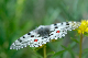 image0200