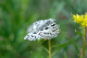 image0202